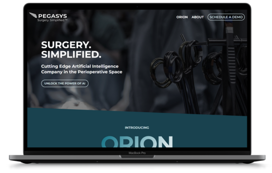 Pegasys Medical Website Homepage
